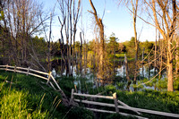pond, woods & fence