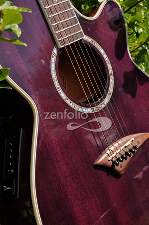 My purple Guitar DSC_6387