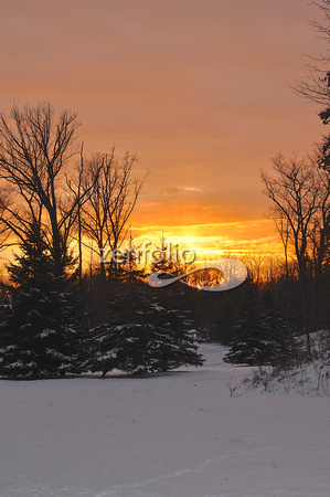 Sunset in Winter       DSC_9607 - Version 2