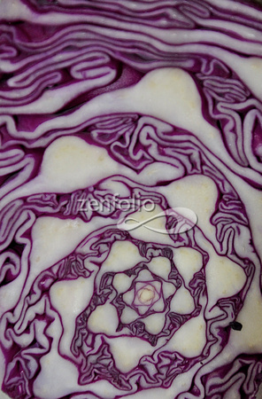Red/Purple Cabbage DSC_9536