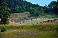 Fields & Fences   DSC_1870