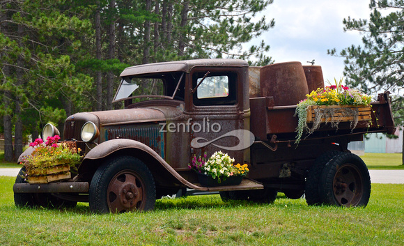 Old Ford Truck near Higgins Lake DSC_4796