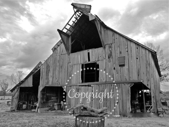 Martin Barn Dexter, MO   P1010001