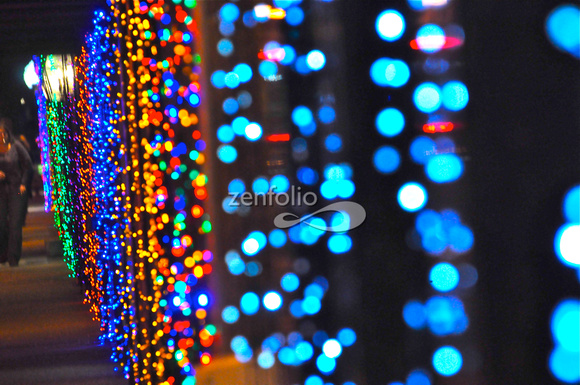 Rochester Christmas Lights DSC_9377_2